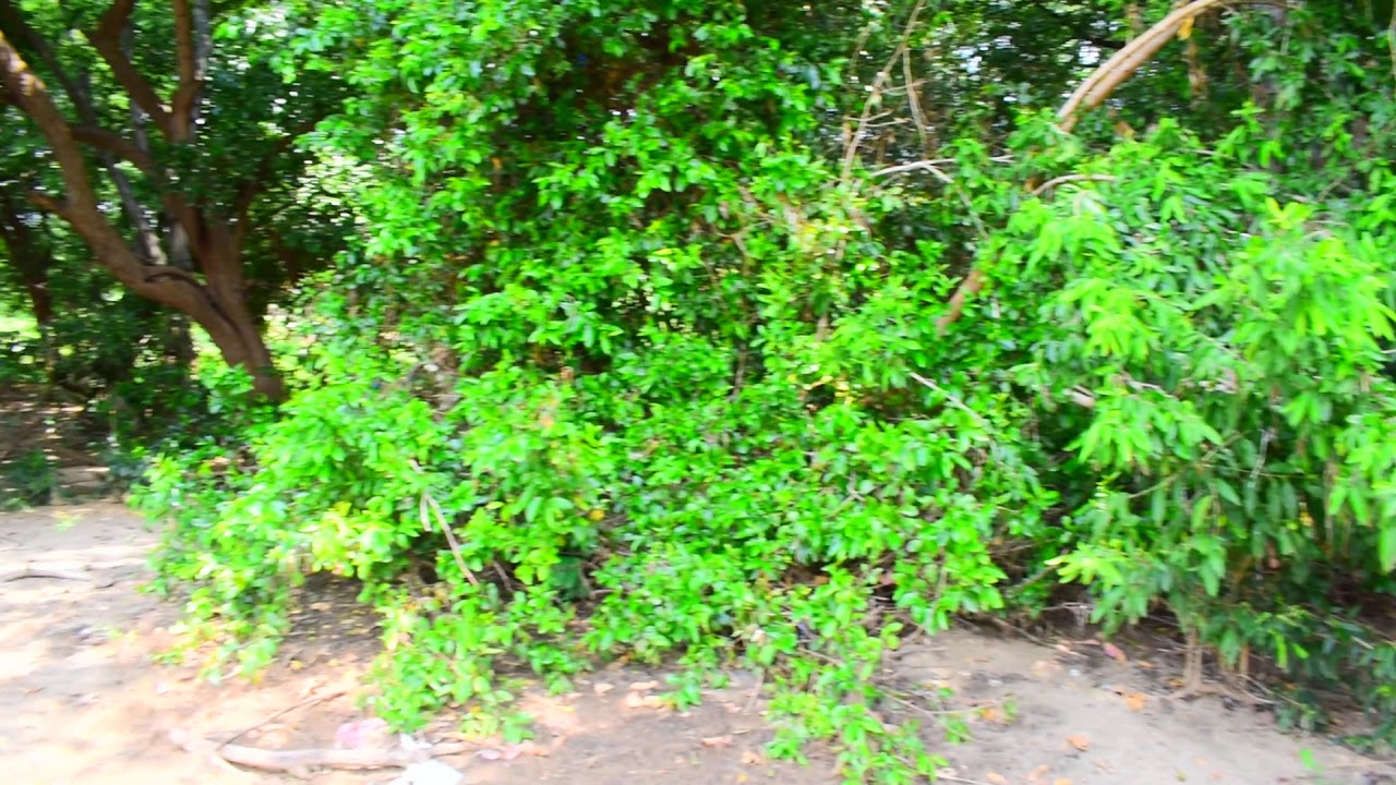 Mutatti kaveri  river