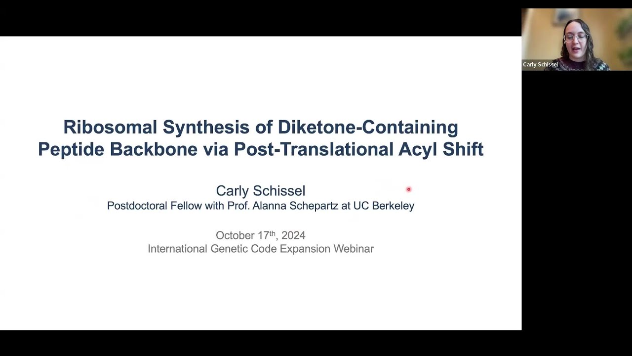 Ribosomal Synthesis of Diketone-containing Peptide Backbone via Post-Translational Acyl Shift
