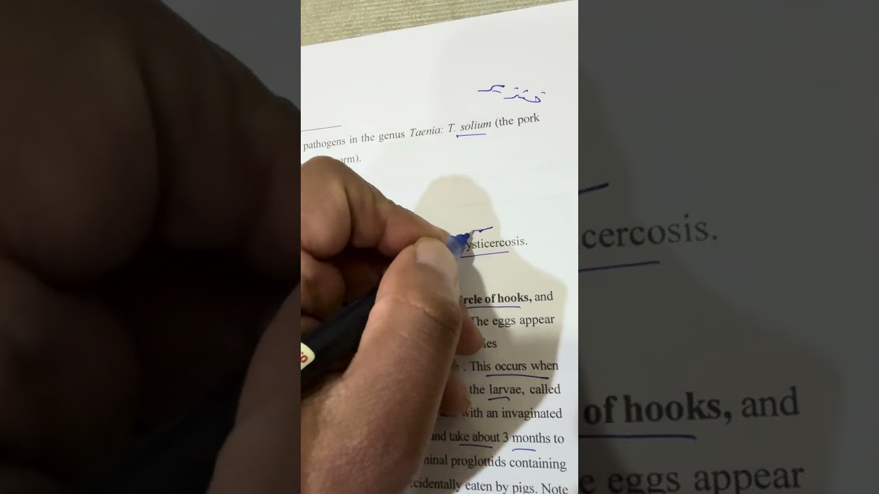شرح محاضرة الطفيليات النظري الاولى مرحلة رابعة وزاري مختبرات طبية ٢٠٢٦ /الاستاذ مسلم عقيل 