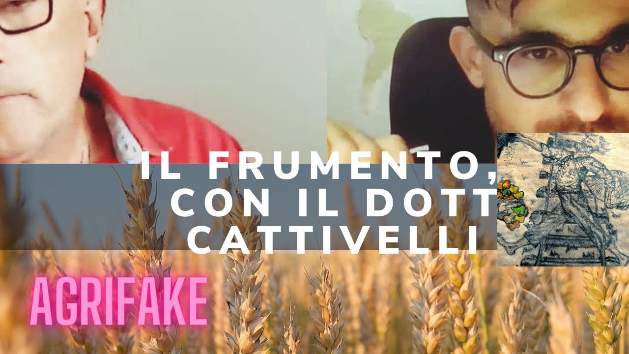 LA STORIA DEL FRUMENTO 🌾 , CON IL DOTT. LUIGI CATTIVELLI (del CREA e autore di “Pane Nostro”)