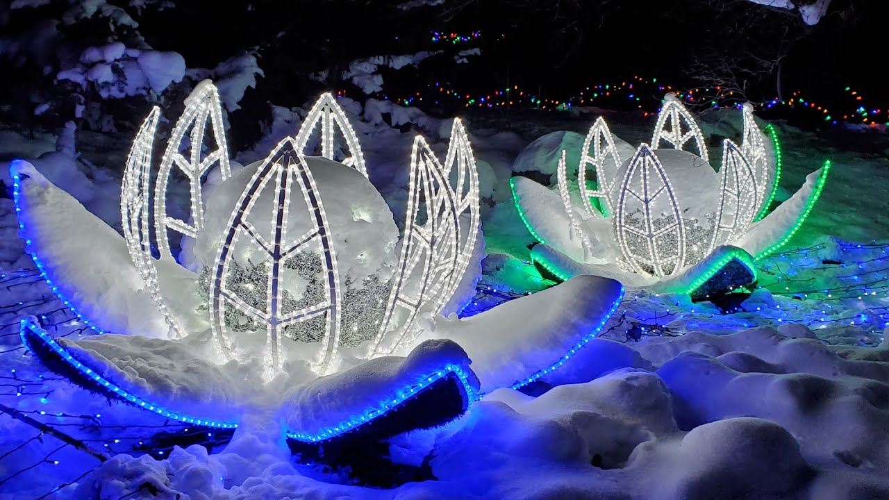 [E7] Holiday Lights at the Minnesota Landscape Arboretum