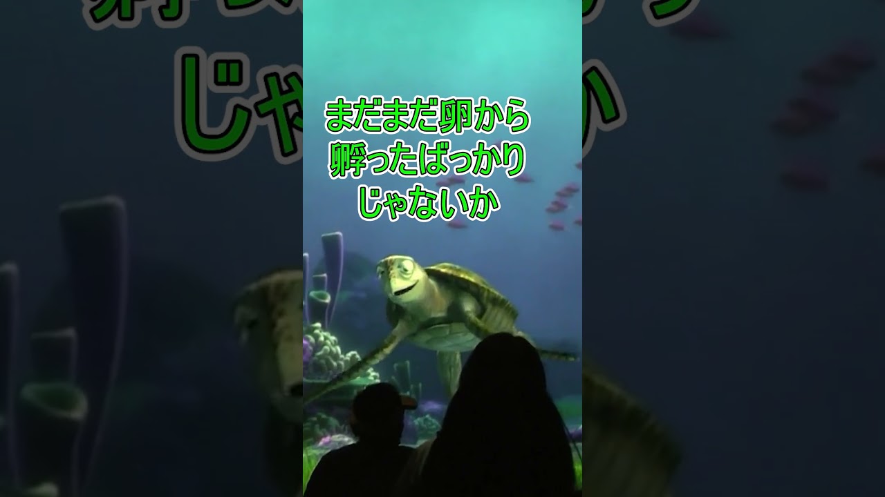 名前覚えてくれよ【タートルトーク】東京ディズニーシー