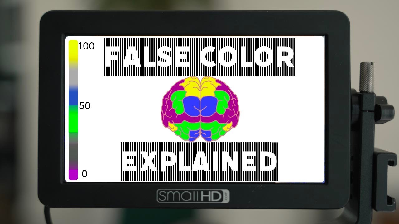 Your BRAIN wants you to use FALSE COLOR | Let me explain