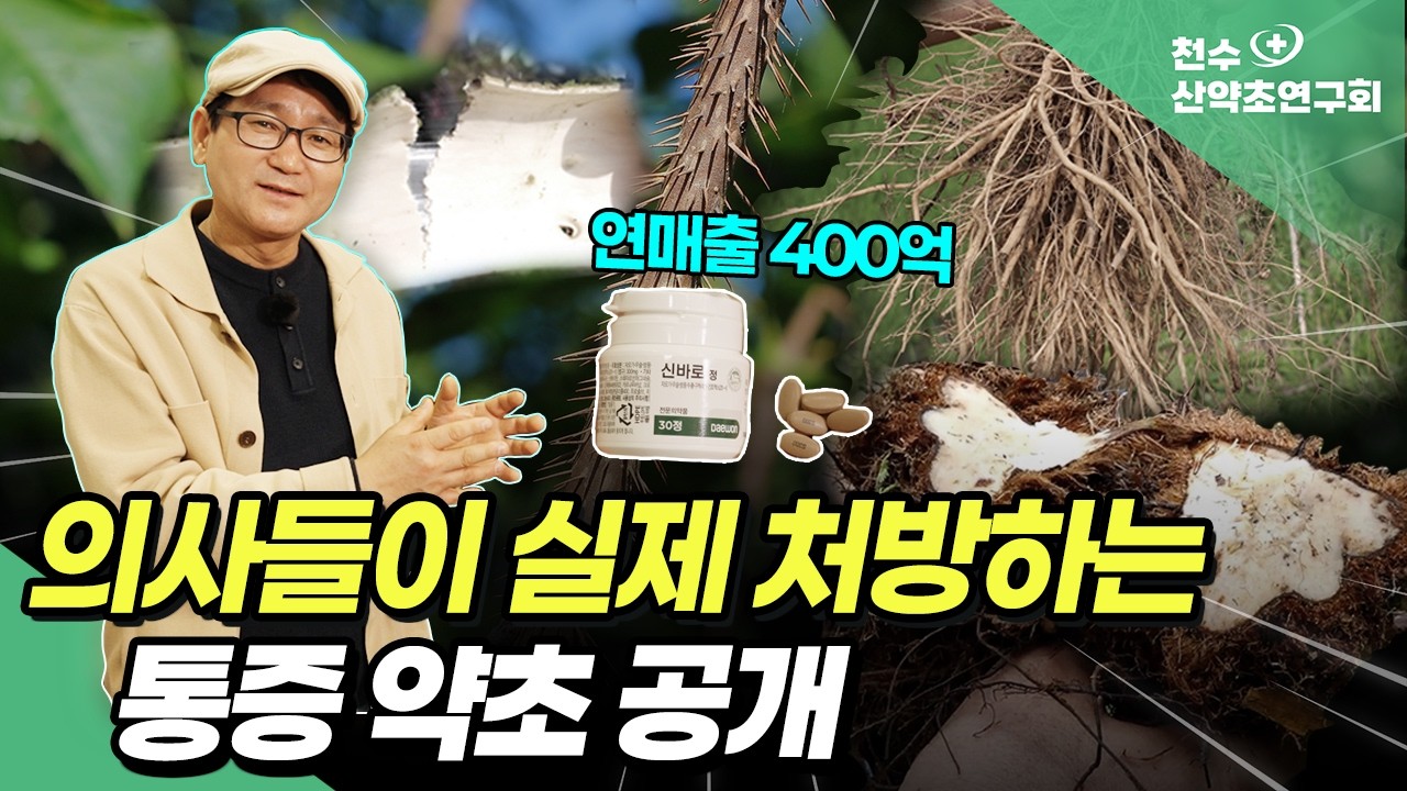 의사들이 실제로 처방하는 ‘통증 약초’의 비밀
