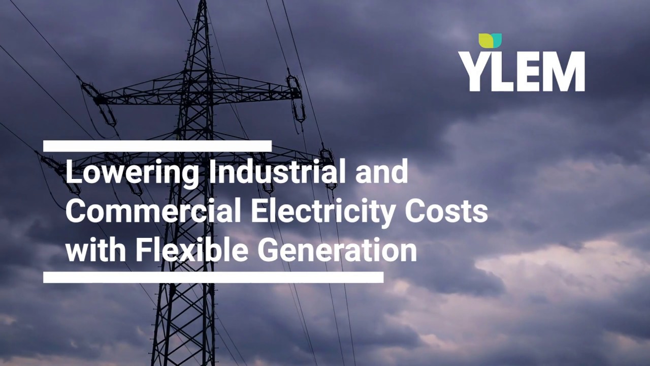 Reducing Electricity Bills with Flexible Generation