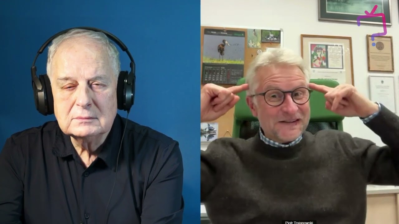 Kogo bardziej boją się ptaki