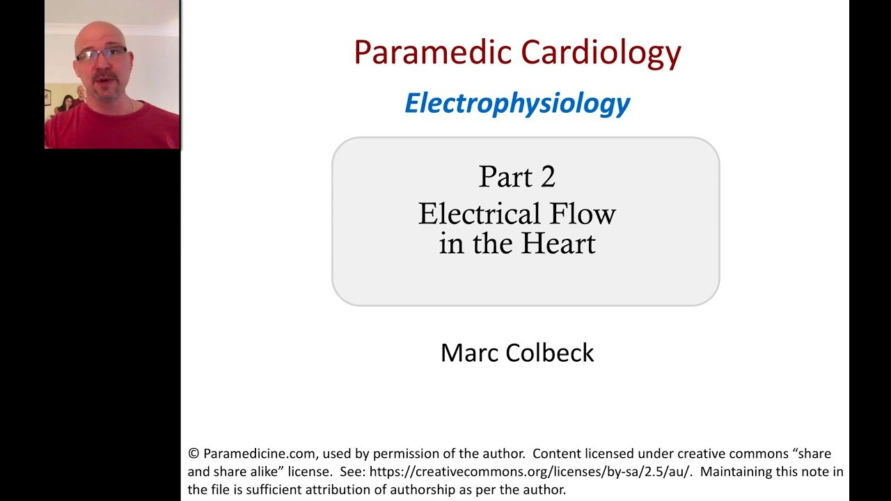 Cardiovascular Electrophysiology 2 - Electrical Flow In The Heart