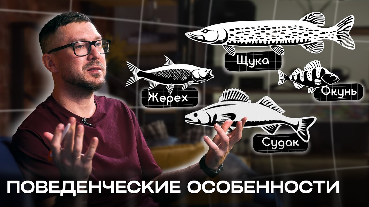 Кто в эхолоте хищник, а кто бель? Поведенческие особенности рыб.
