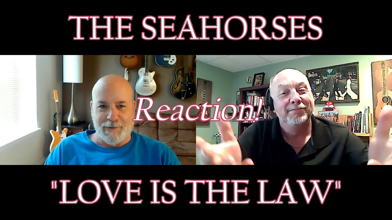 THE SEAHORSES – Love is the Law | REACTION