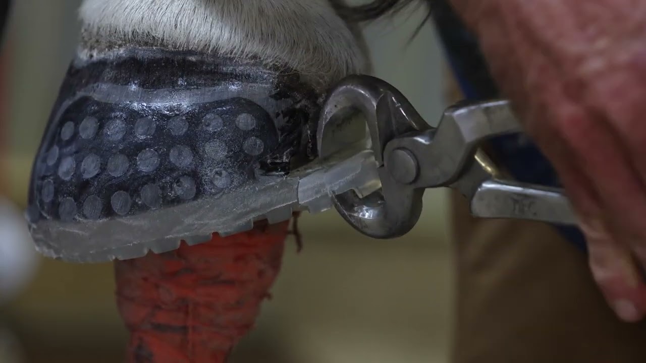 How to Shape an EasyShoe
