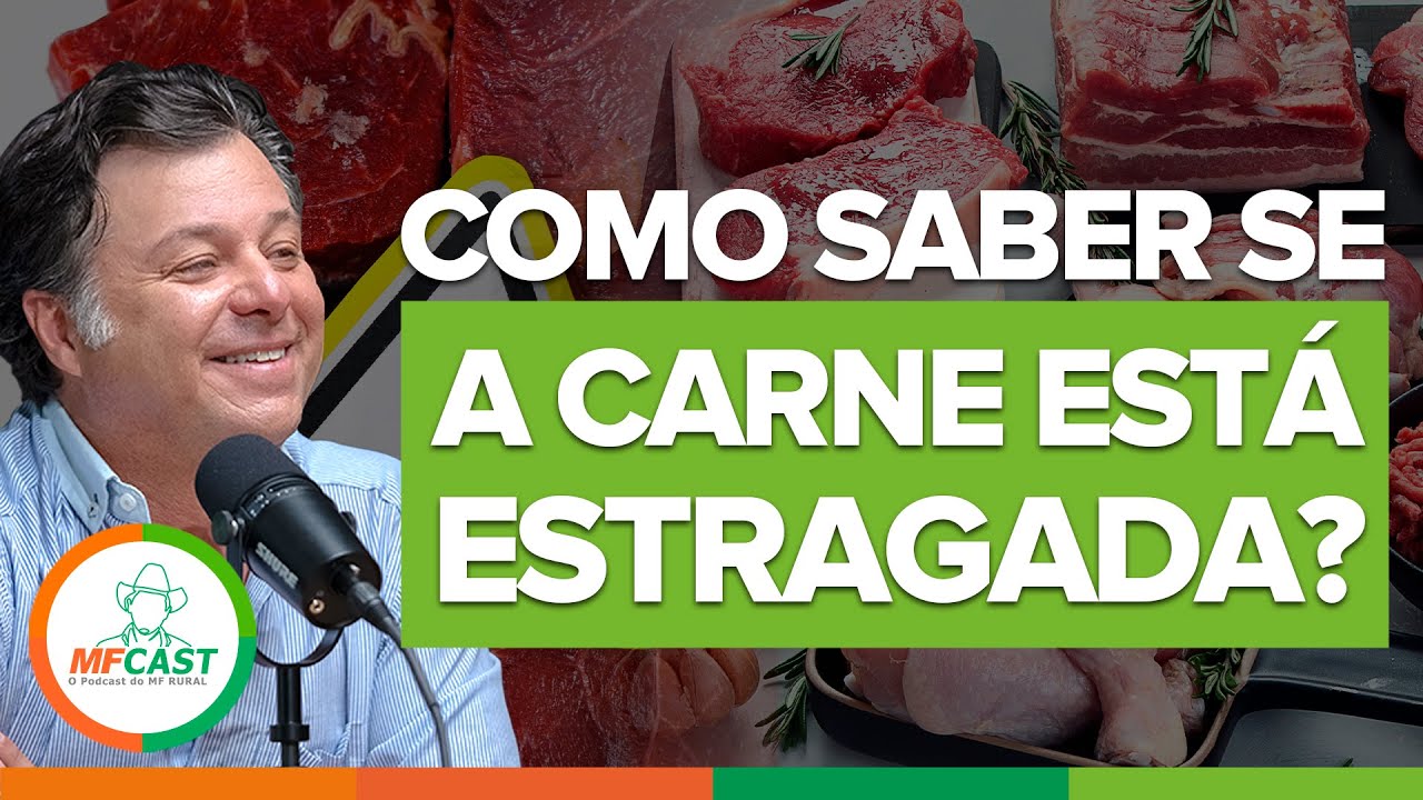 COMO IDENTIFICAR SE A CARNE ESTÁ ESTRAGADA? - MF CAST #42