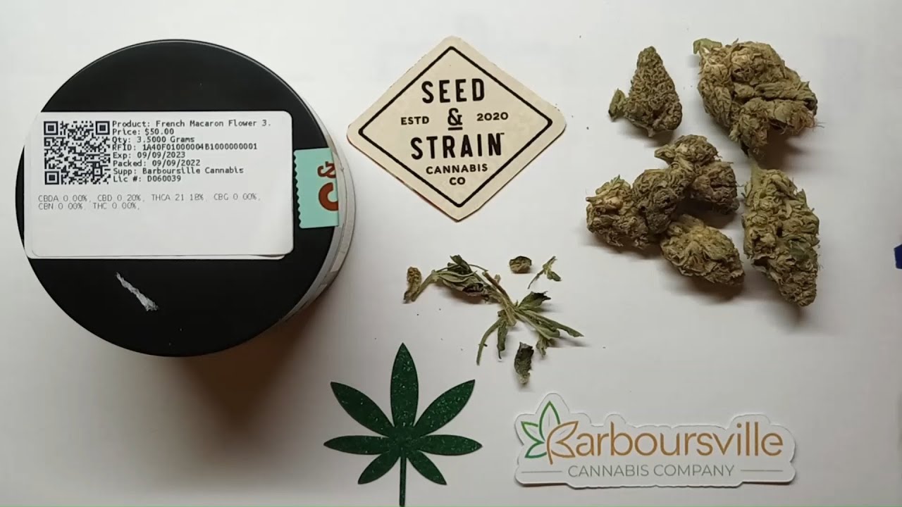 Seed & Strain French Macaroon Flower Review