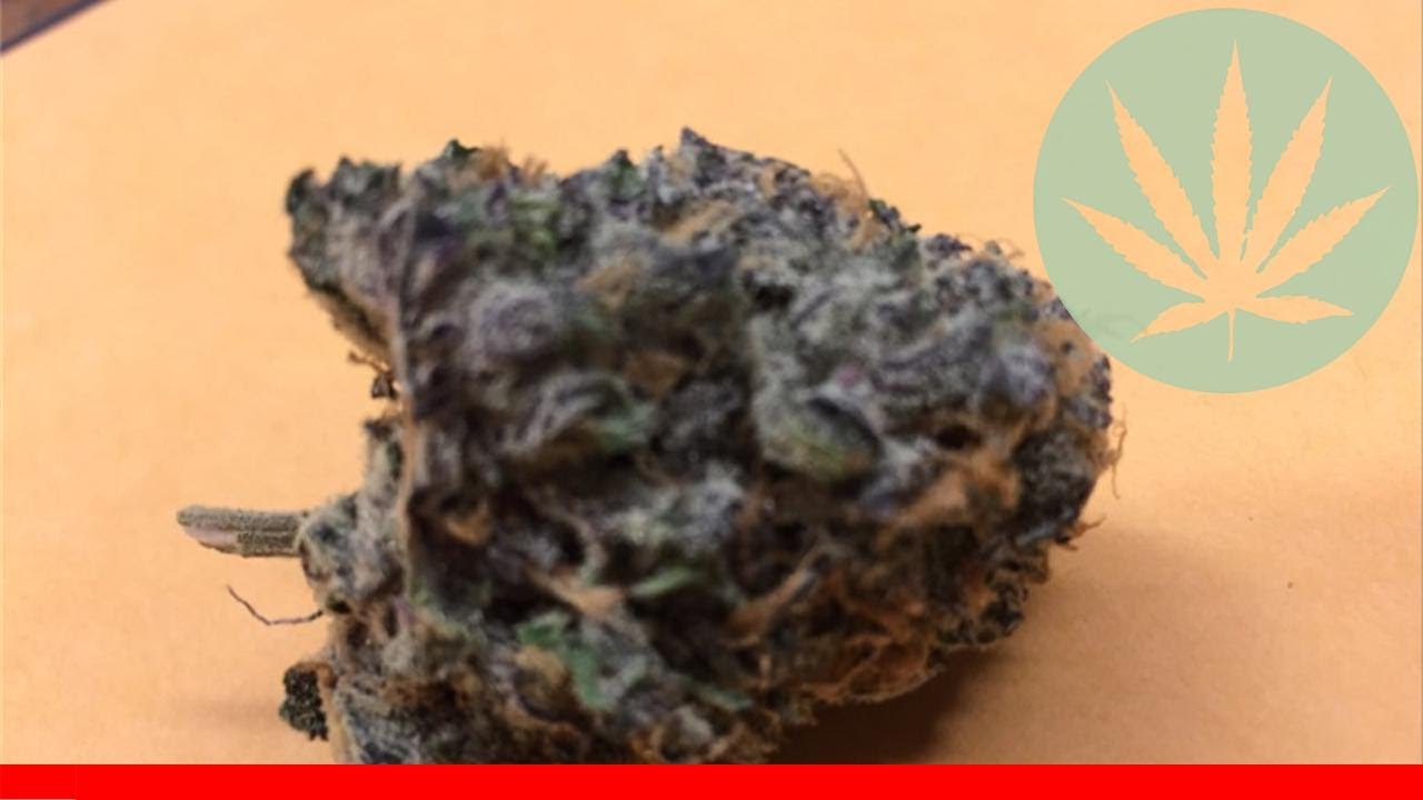Purple Widow - All About This Strain