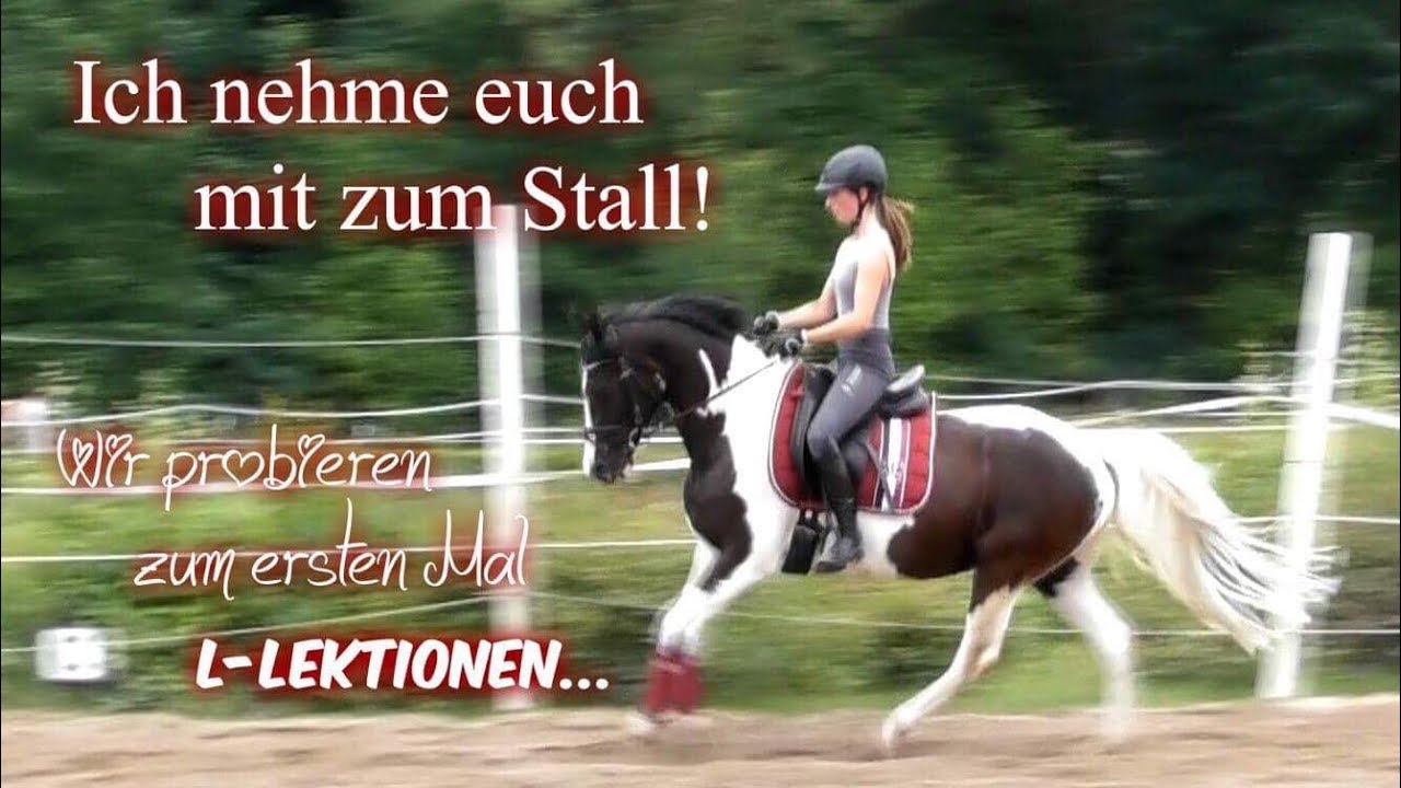Ich nehme euch mit zum Stall! // Wir probieren zum ersten Mal L-Lektionen