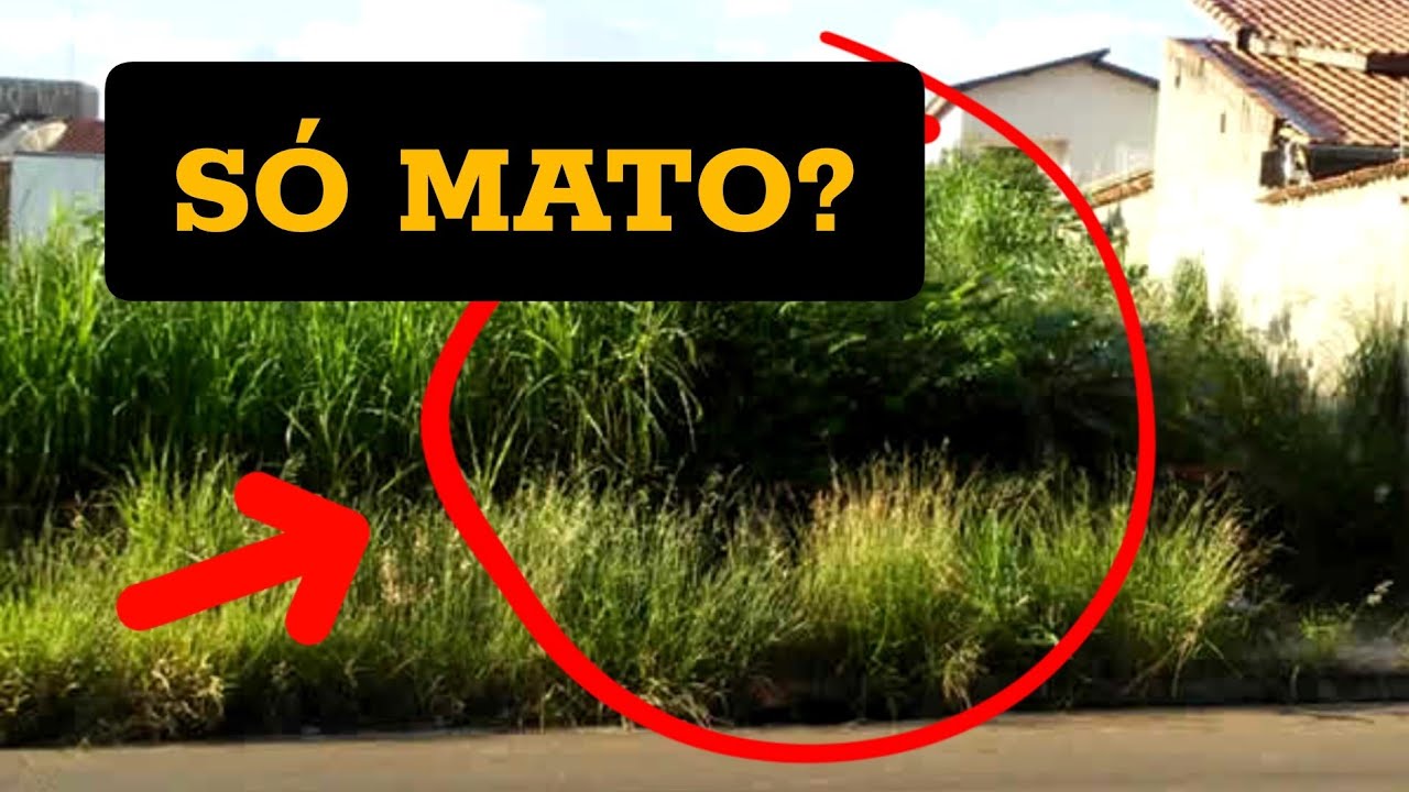 TODA PLANTA É ÚTIL!