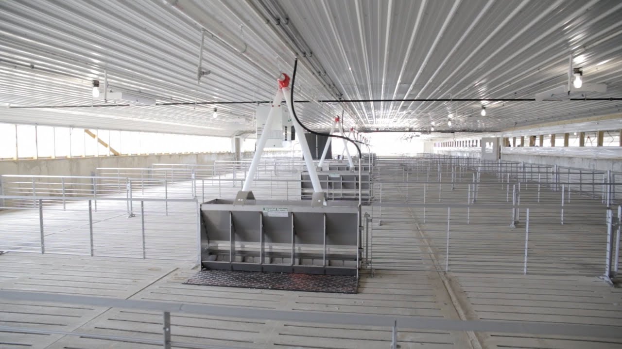 Washburn Farms LLC Opens Doors to New Hog Facility