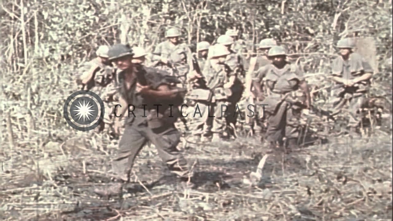 US 199th Light Infantry Brigade troops cross a jungle path during the Vietnam War HD Stock Footage