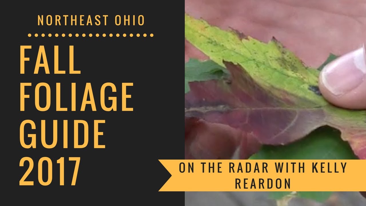 Fall foliage guide 2017 for Northeast Ohio: On the Radar with Kelly Reardon