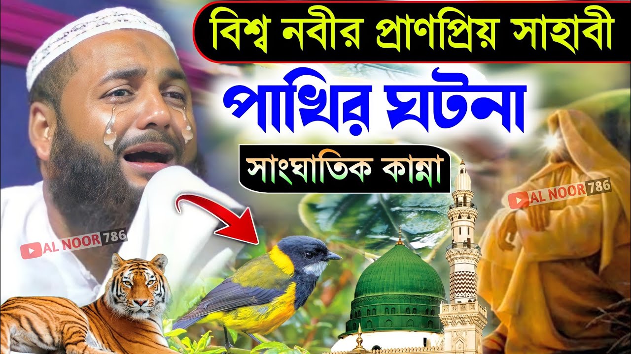 বিশ্ব নবীর প্রাণ প্রিয় সাহাবী পাখির ঘটনা┇সাংঘাতিক কান্না┇ মাওঃ হেজবুল্লাহ আকুঞ্জী ওয়াজ┇Bangla Waz