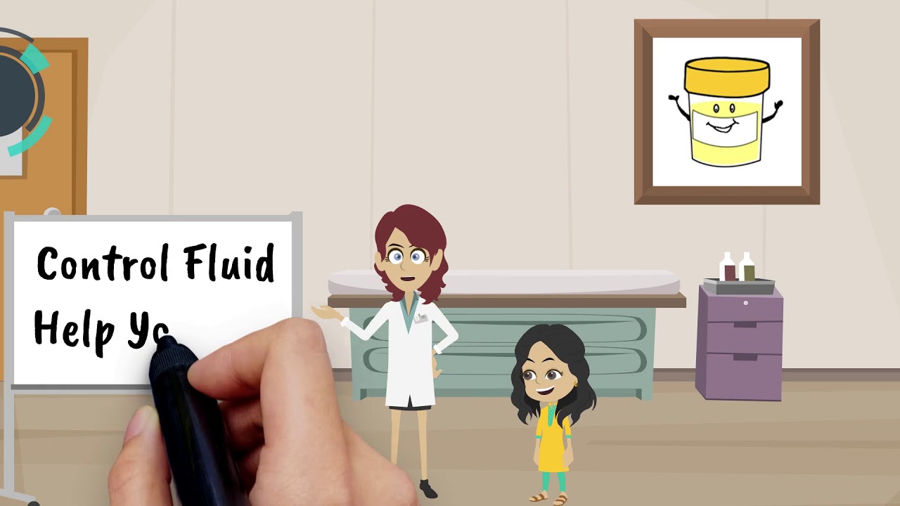 What Is A Kidney?