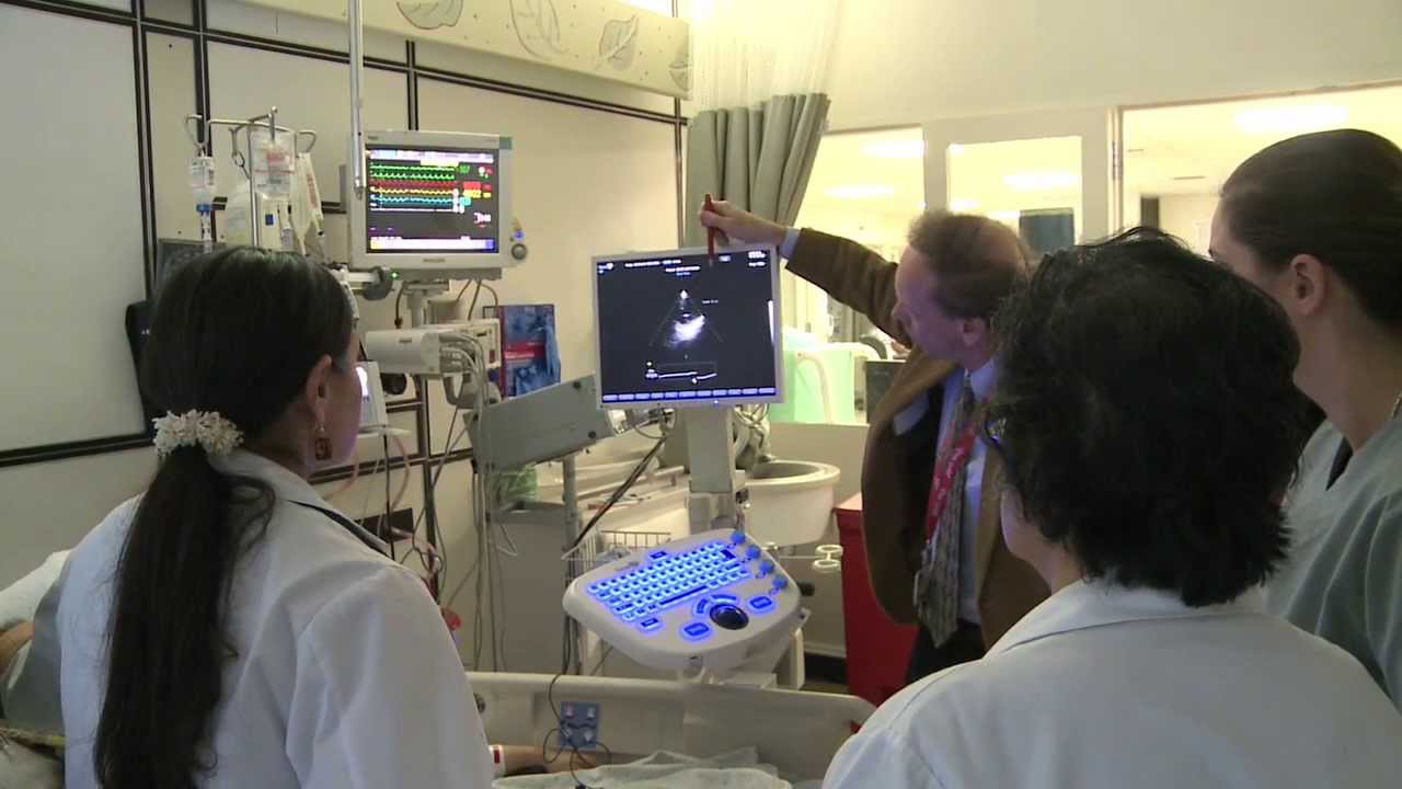 Post-Op Advanced Hemodynamic Management of a VAD Patient - Dr. Margarita Camacho - ImaCor hTEE