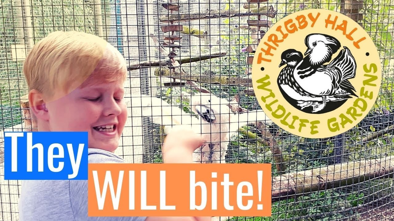Thrigby Wildlife Gardens  - Close Encounters!