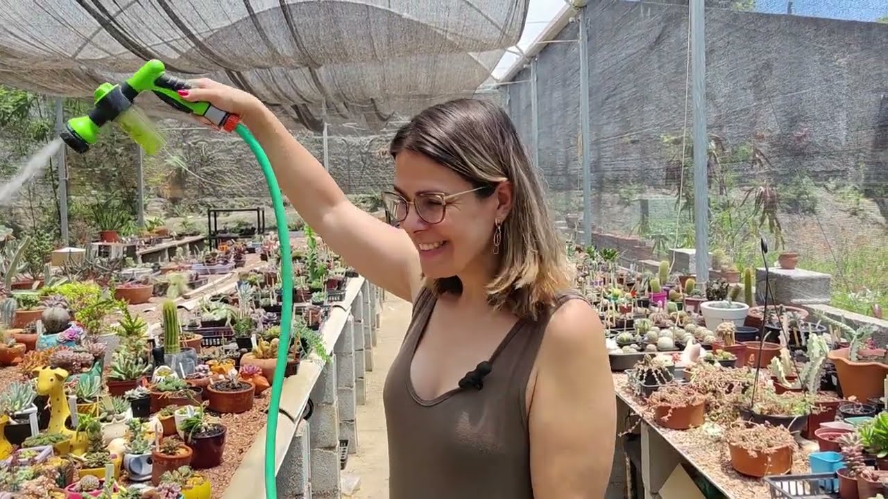 Uma rega e uma prosa.