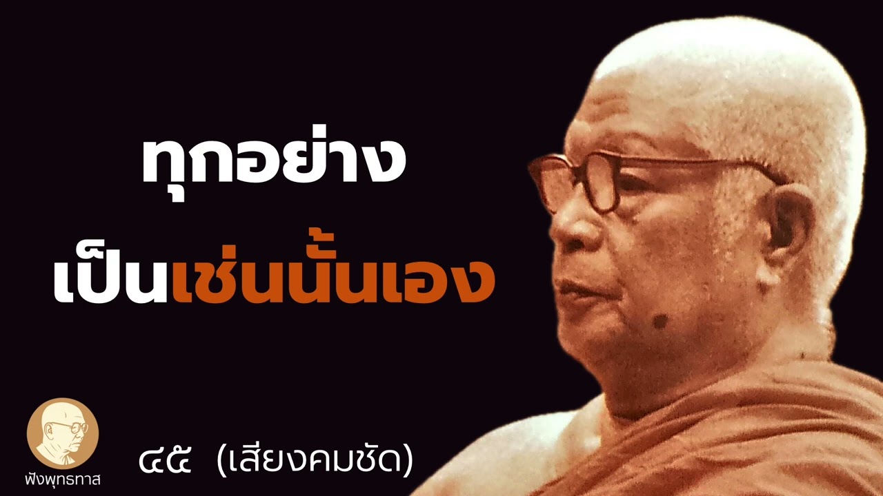 ทุกอย่างเป็นเช่นนั้นเอง - ฟังพุทธทาส 45