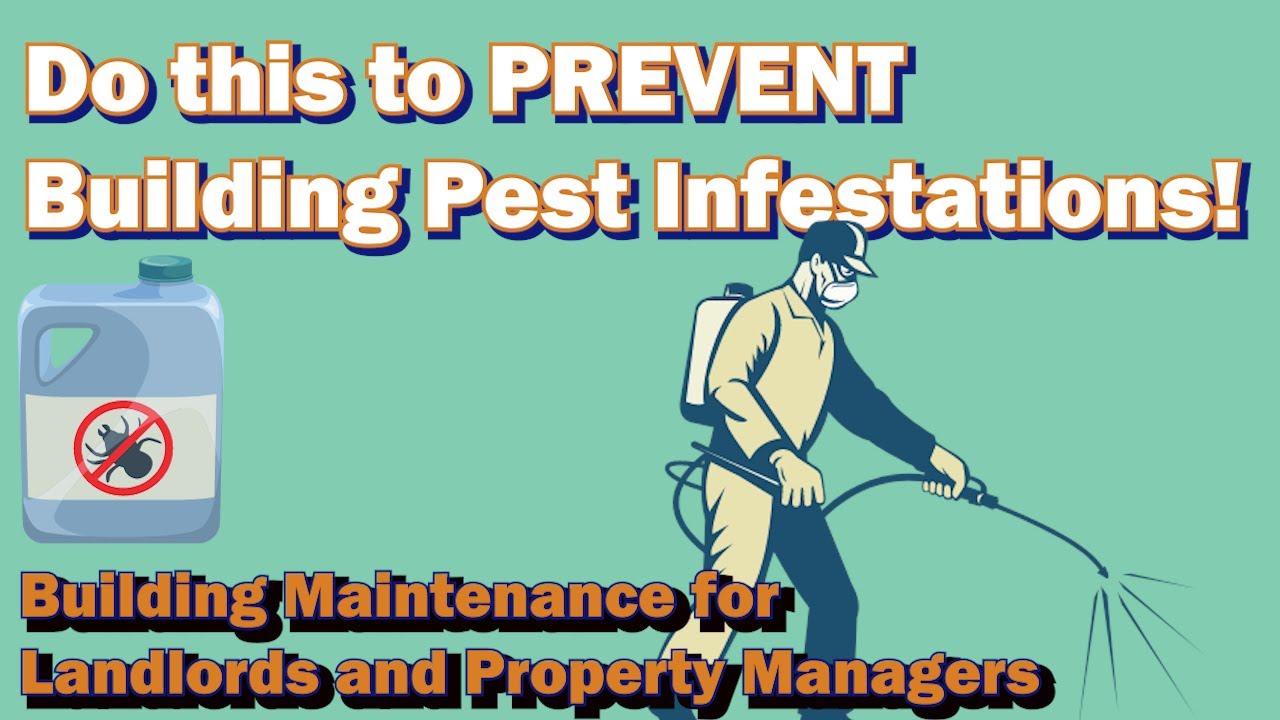 Pest Control Maintenance Trade Secrets; Say GOODBYE to Building Pests for good!