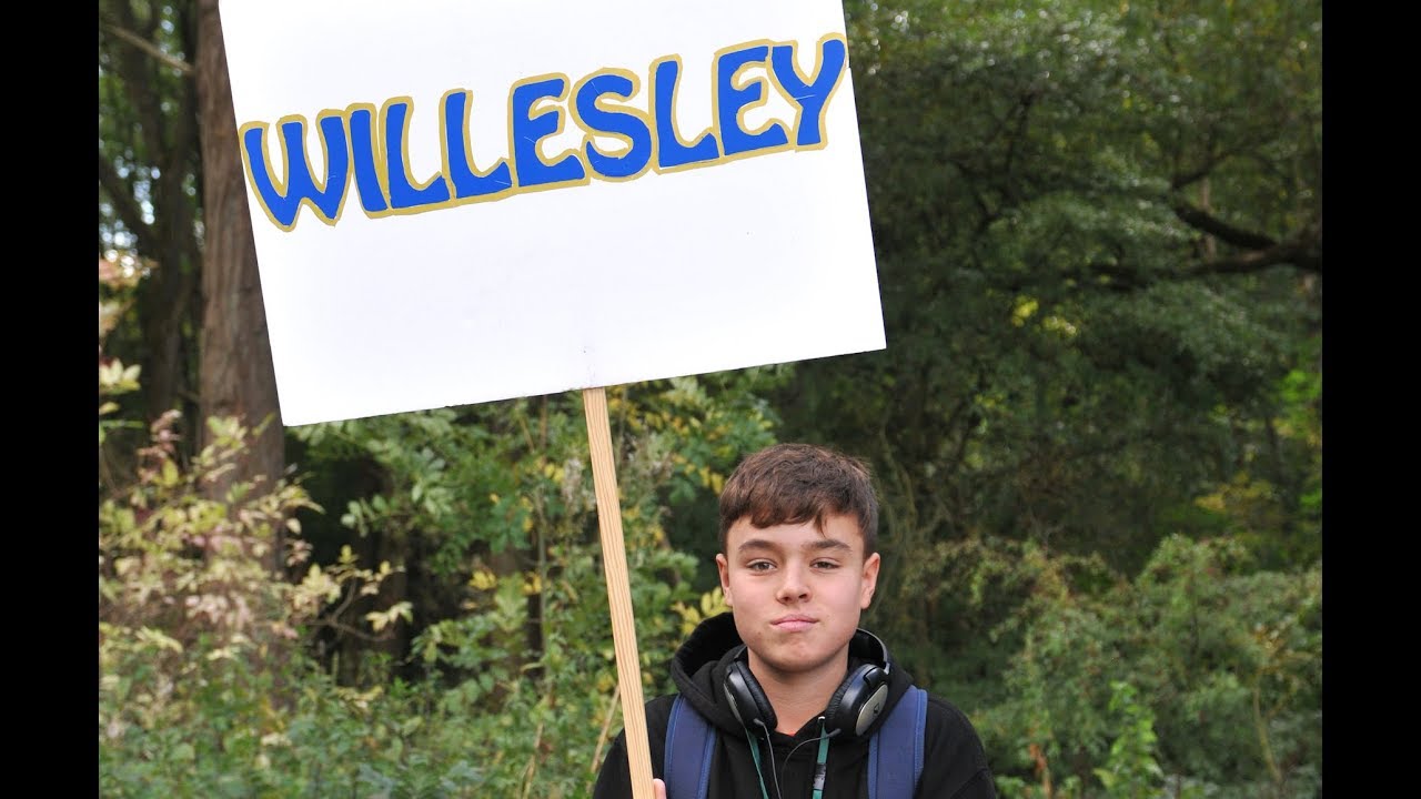 Willesley Woods