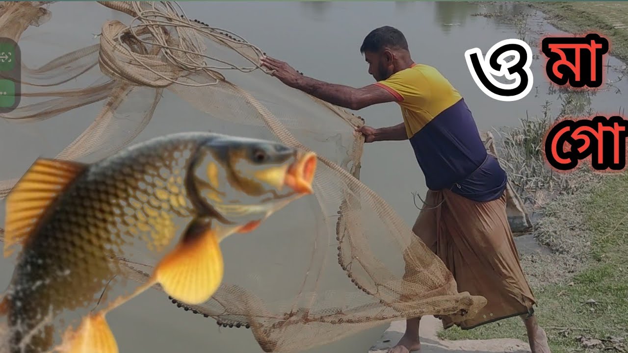 গ্রামবাংলায় ঝাকি জাল দিয়ে মাছ ধরা | Village Fishing with Cast Net in Bangladesh | Traditional