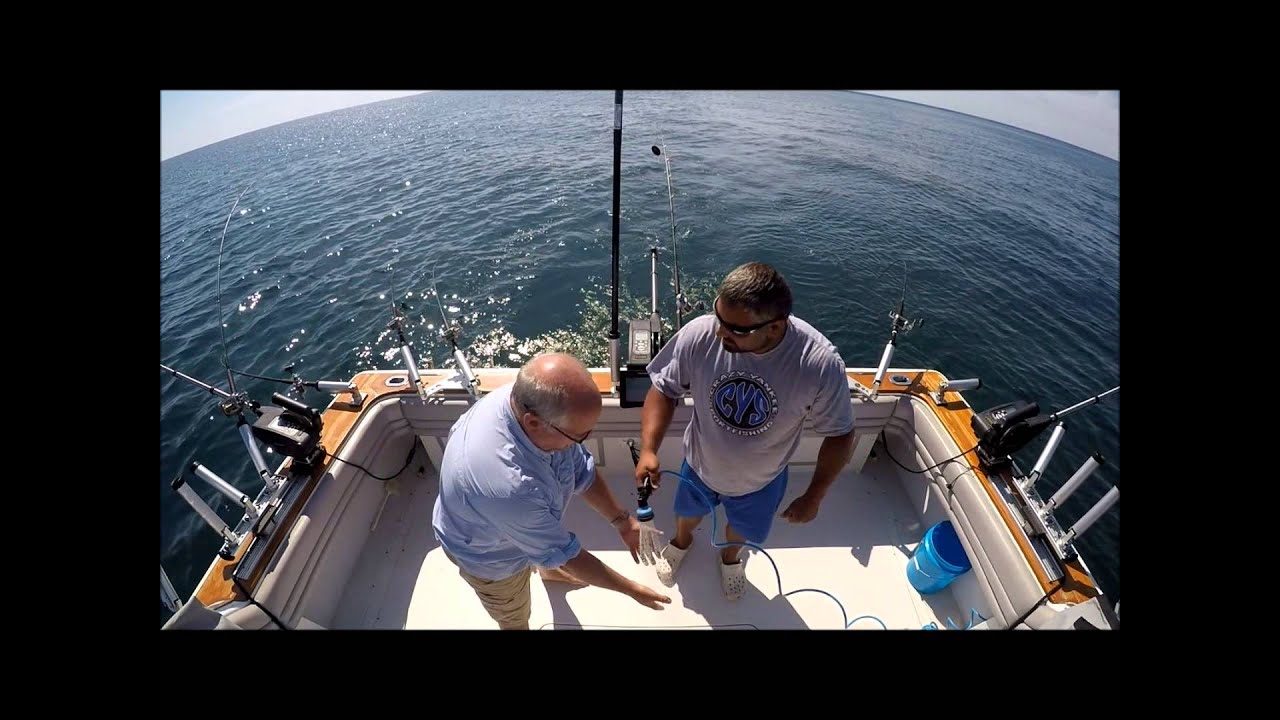 Charter from Atlanta with Crazy Yankee Sportfishing