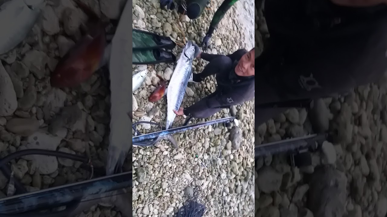 spearfishing kingmack...kingmack whisperer