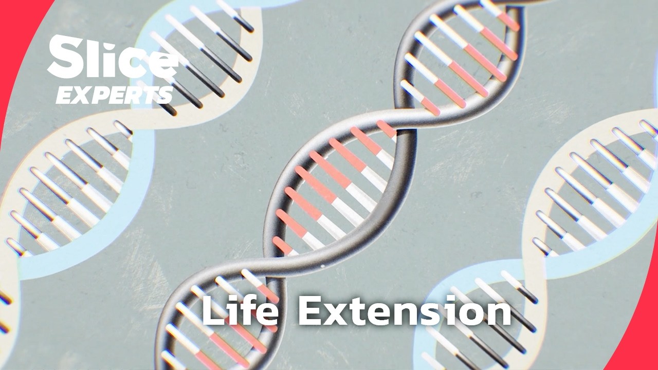 The war on aging: Drugs, biohackers, and the quest for longer life I PART 2 | SLICE EXPERTS