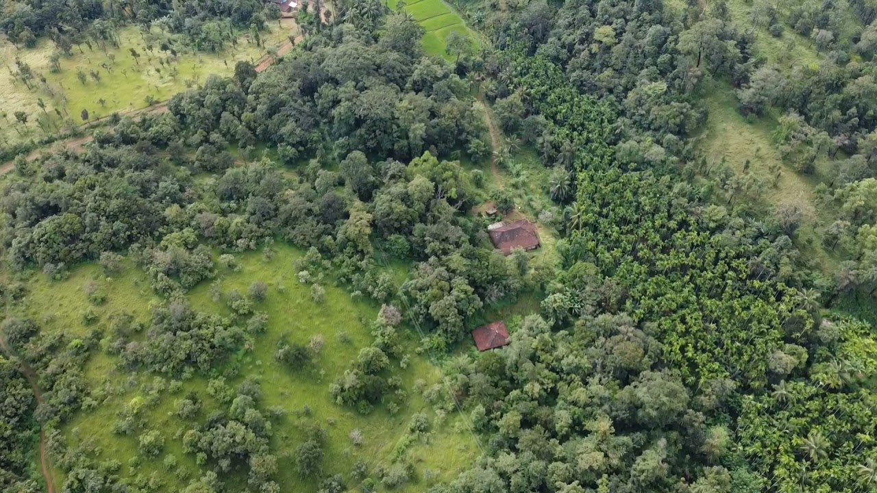 Drone shoot #westernghat #home