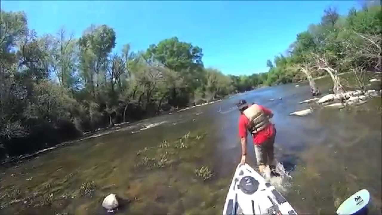 River fishing in The Predator MX