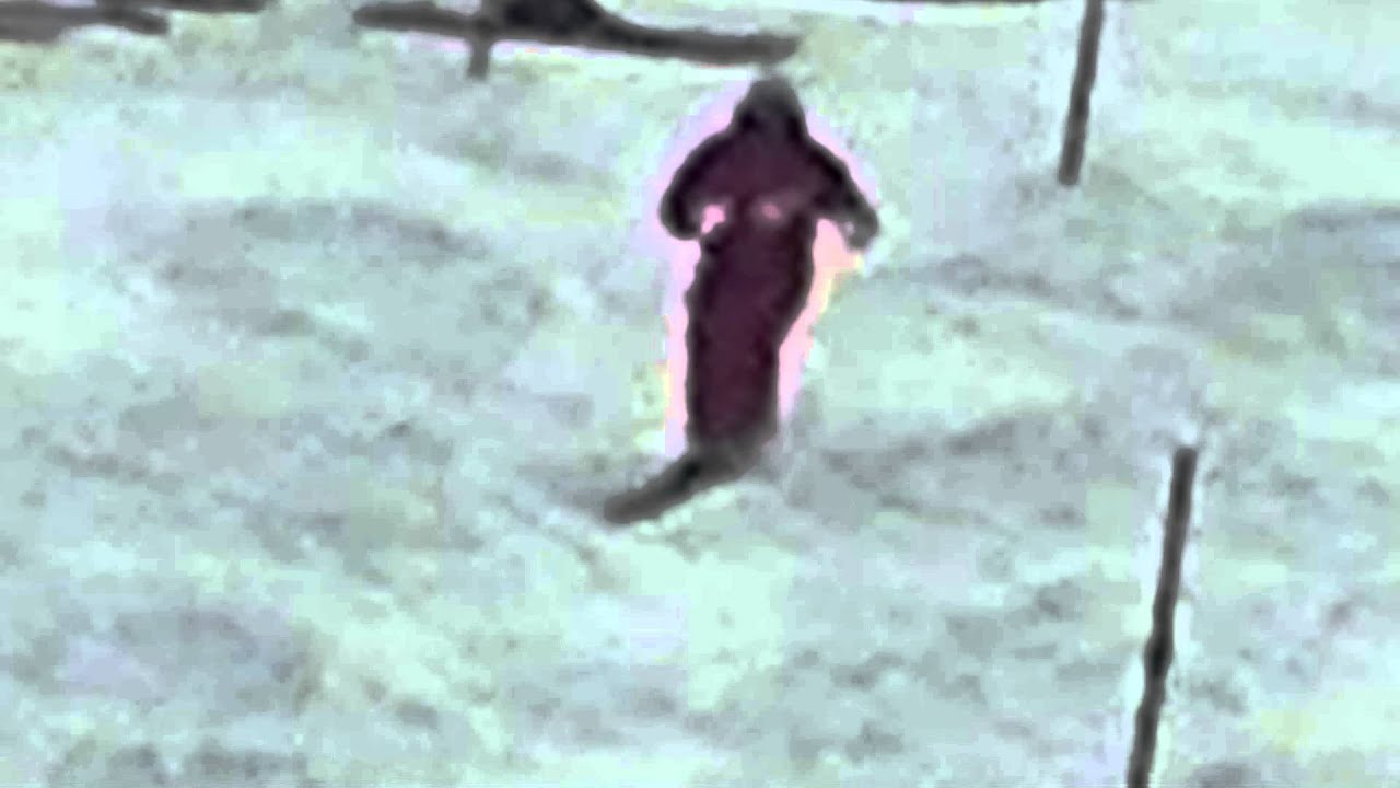 【モーグル】超うまい人のコブ滑り
