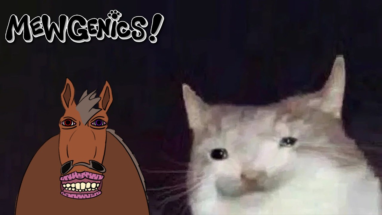 Can We Make A Broken Build (or break a cat instead) | Mewgenics