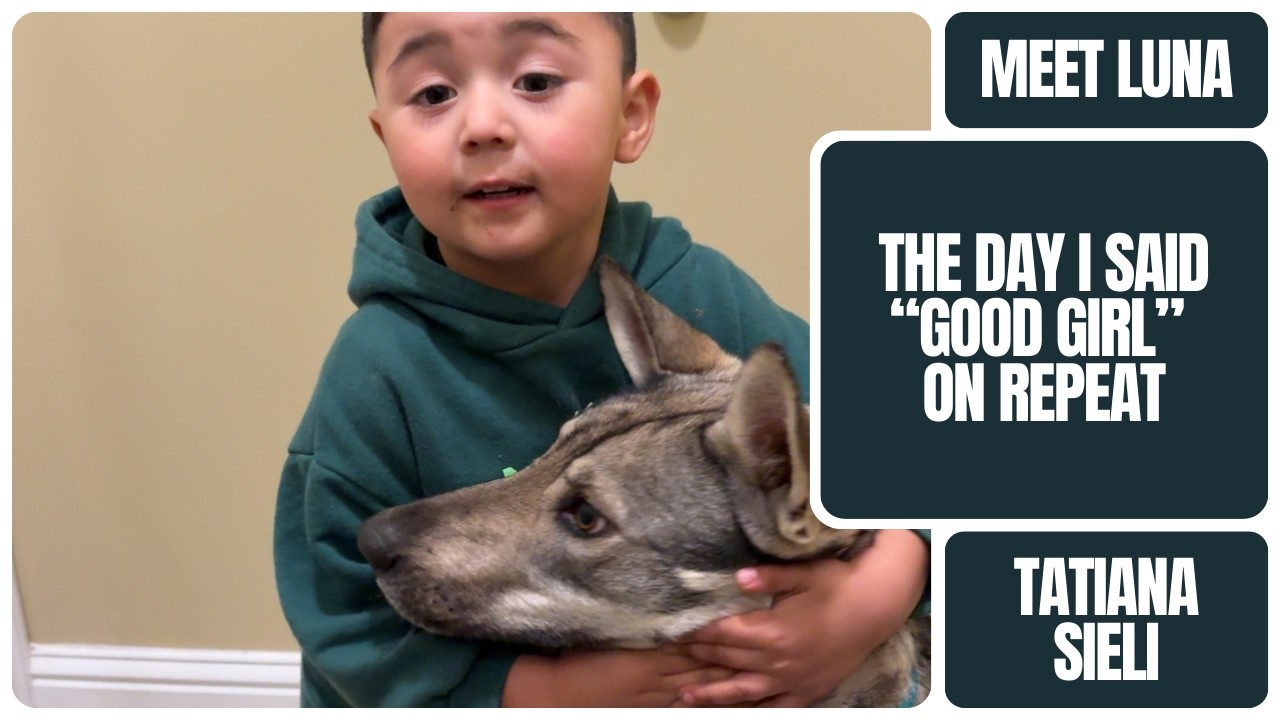 1ST 24 HOURS WITH OUR NEW DOG!