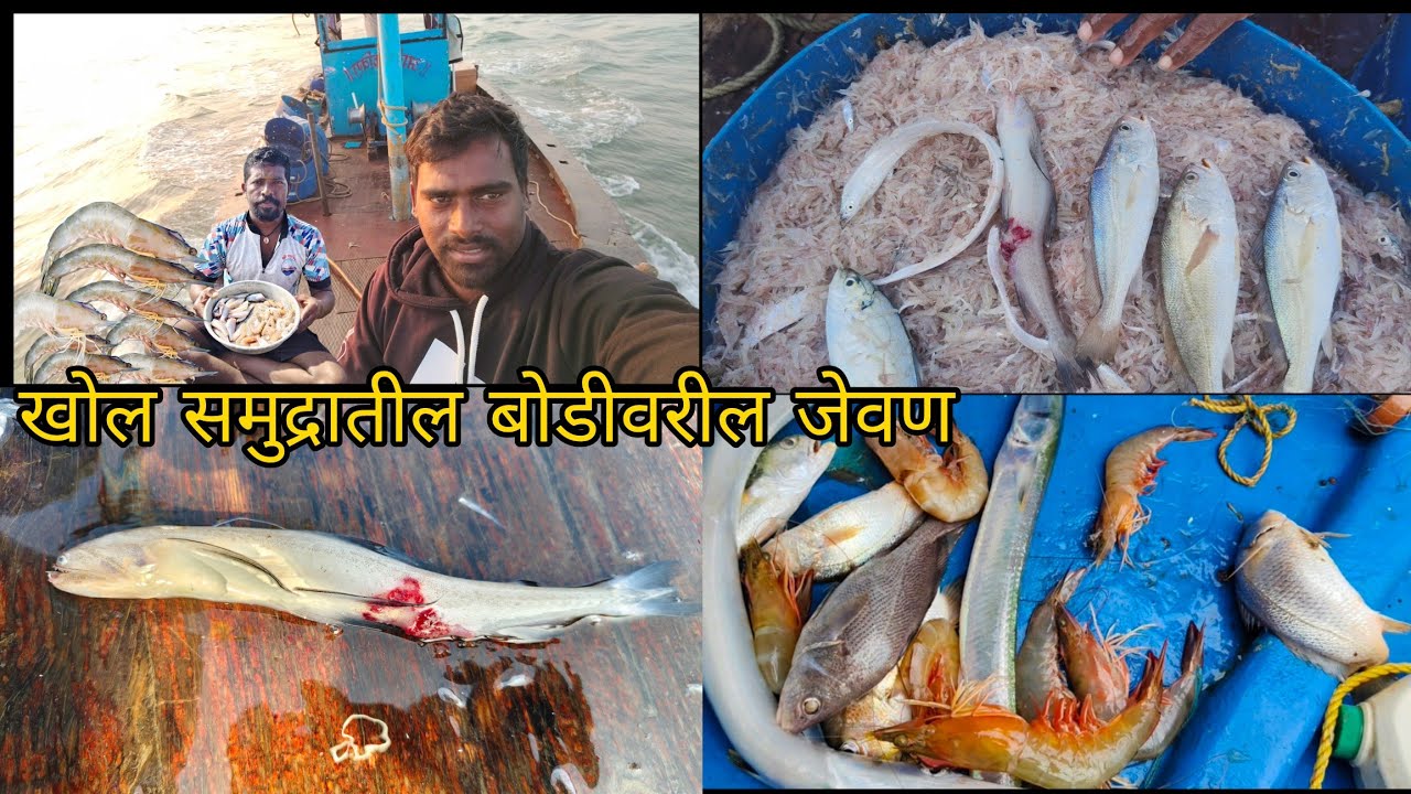खोल समुद्रातील बोडी #वरील कोळंबी च जेवण 2026 #fishing 
