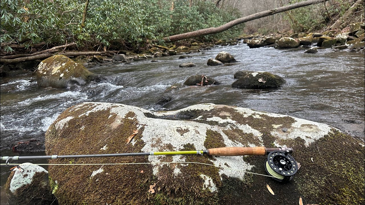 Tellico River - Fly Fishing for Winter Trout | Incredible Action