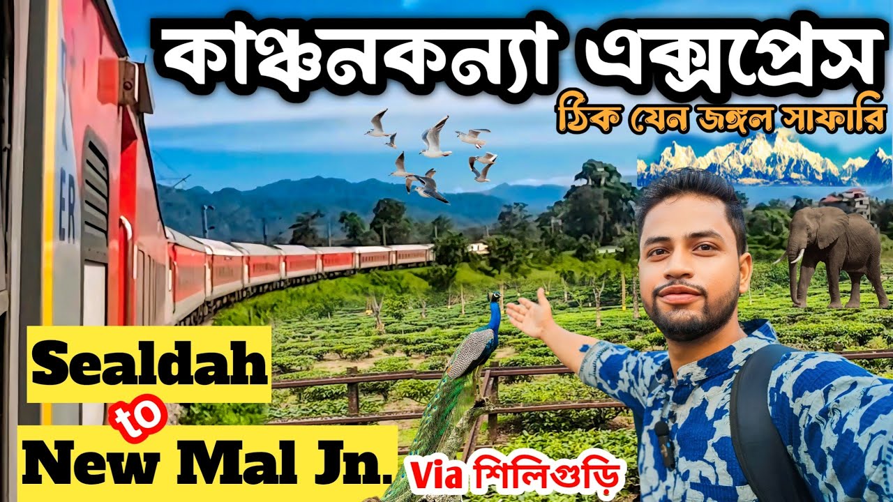 এ যেন এক জঙ্গল সাফারি! Sealdah to New Mal Junction Train Journey | 13149 Kanchankanya Express