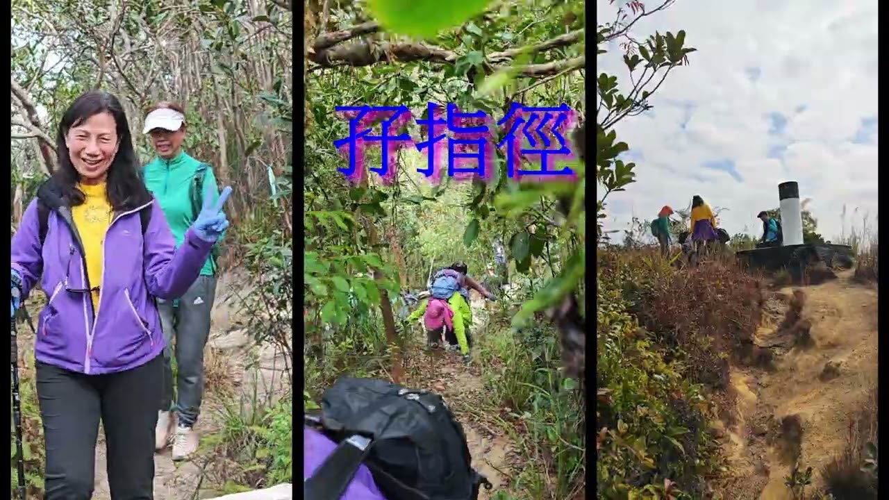 孖指徑 2026 01 12