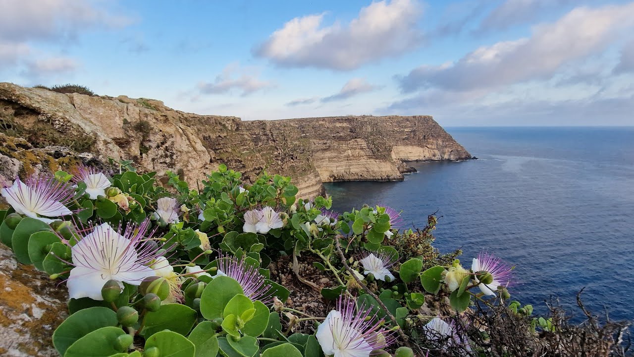 Lampedusa in 4K - Isola da sogno