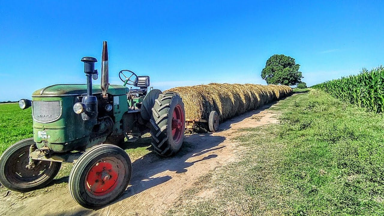 Apilando los rollos con el Deutz 55