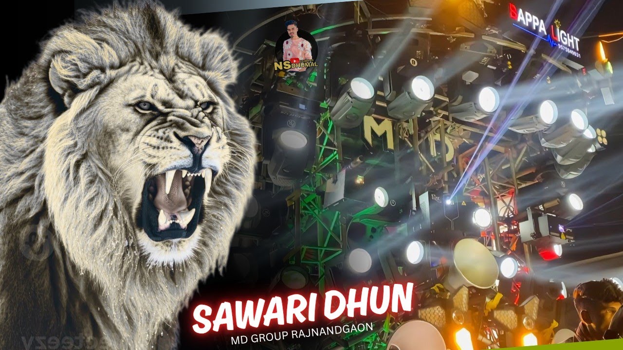 Sawari Dhun 🔥 New Sawari Dhun | Md Group Rajnandgaon | Sawari Dhun Dhumal | Dj Dhumal | सवारी धुन 