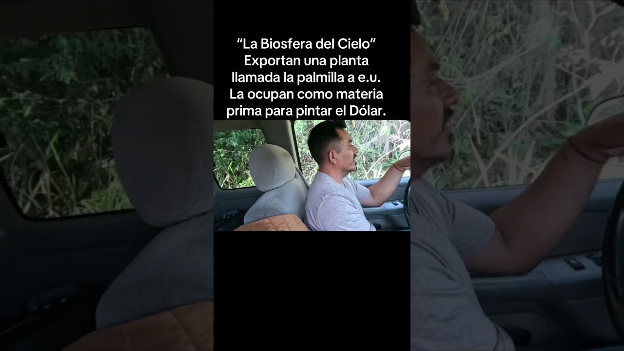 Biosfera el cielo, Gómez Farías, Tamaulipas.