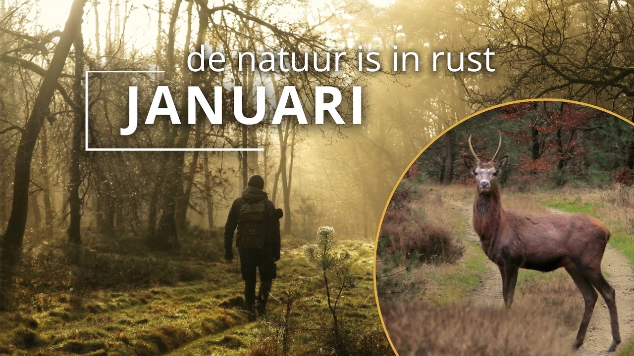 #87 - JANUARI - de natuur is in rust