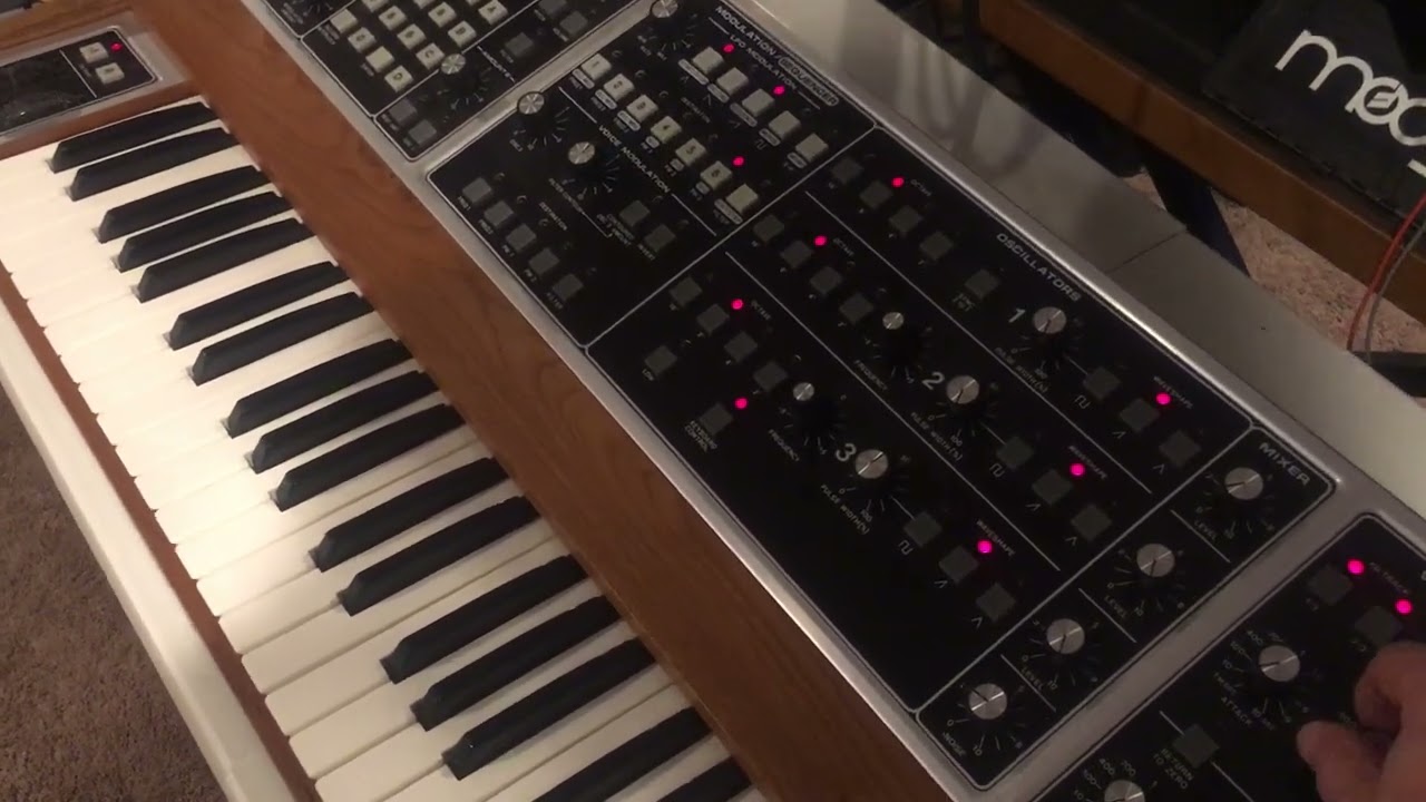 MemoryMoog Plus 