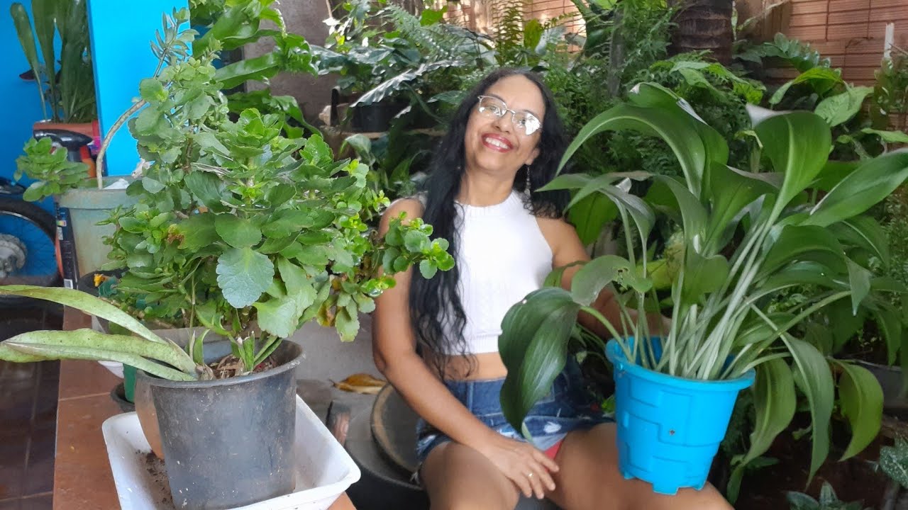 Ta xegando odia do meu pagamento do canal final do mês de março to feliz 